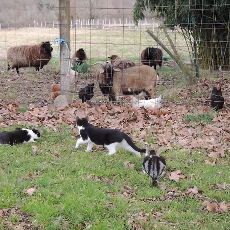 Bed & Breakfast Le Logis Des Quatre Puits Neuvicq-Montguyon